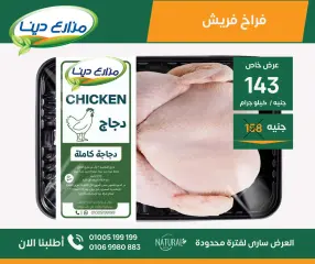 Page 11 in June Offers at Dina Farms Egypt
