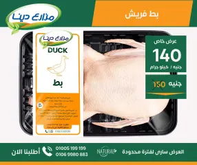 Page 15 in June Offers at Dina Farms Egypt