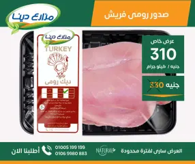 Page 17 in June Offers at Dina Farms Egypt