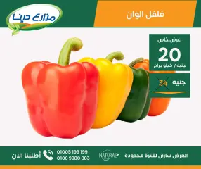 Page 19 in June Offers at Dina Farms Egypt