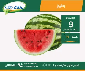 Page 20 in June Offers at Dina Farms Egypt