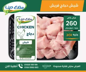 Page 3 in June Offers at Dina Farms Egypt