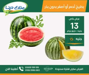 Page 21 in June Offers at Dina Farms Egypt
