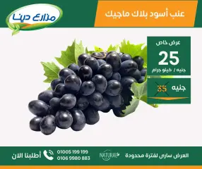Page 22 in June Offers at Dina Farms Egypt