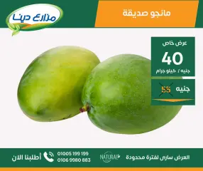Page 24 in June Offers at Dina Farms Egypt