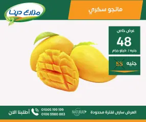 Page 25 in June Offers at Dina Farms Egypt