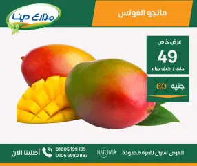 Page 26 in June Offers at Dina Farms Egypt