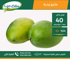 Page 27 in June Offers at Dina Farms Egypt