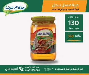 Page 29 in June Offers at Dina Farms Egypt