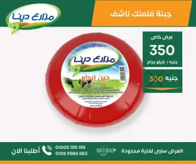 Page 30 in June Offers at Dina Farms Egypt