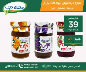 Page 31 in June Offers at Dina Farms Egypt