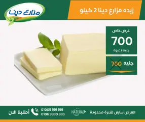 Page 33 in June Offers at Dina Farms Egypt