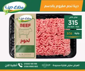 Page 7 in June Offers at Dina Farms Egypt