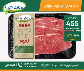 Page 9 in June Offers at Dina Farms Egypt