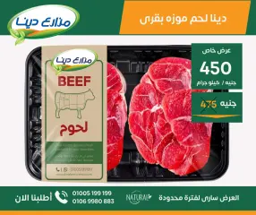 Page 10 in June Offers at Dina Farms Egypt