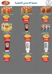 Page 17 in April Festival Offers at Ahmadi coop Kuwait