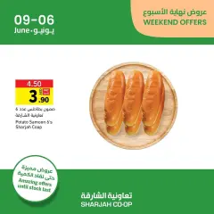 Página 4 en Ofertas de fin de semana en Cooperativa de Sharjah Emiratos Árabes Unidos