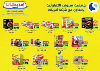 Page 3 in April Festival Offers at Salwa co-op Kuwait
