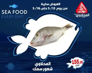 صفحة 5 ضمن عروض الأسماك في المحلاوى ماركت مصر