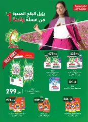 Page 24 in Detergent festival deals at Al Rayah Market Egypt