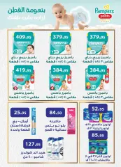 Page 25 in Detergent festival deals at Al Rayah Market Egypt