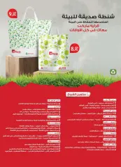 Page 32 in Detergent festival deals at Al Rayah Market Egypt
