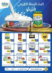 Page 9 in Detergent festival deals at Al Rayah Market Egypt