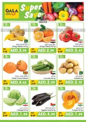 Page 6 in Pick of the Week at Gala supermarket UAE