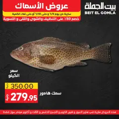 Página 2 en Ofertas de pescado en Casa Gomla Egipto
