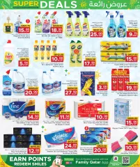 Page 16 in Wonder Deals at Family Food Centre Qatar