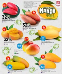 Page 5 in Mango Festival Offers at Safari Qatar