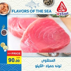 Page 9 in Fish Deals at El Mahlawy market Egypt