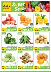 Page 6 in Midweek offers at Gala supermarket UAE