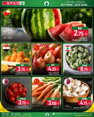 Page 2 in Family Deals at SPAR Qatar