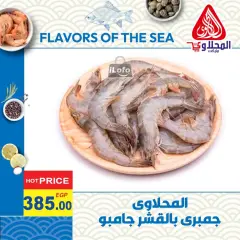 Page 6 in Fish Deals at El Mahlawy market Egypt