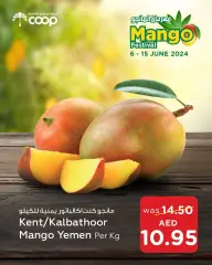 Page 4 in Mango Festival Offers at Abu Dhabi coop UAE