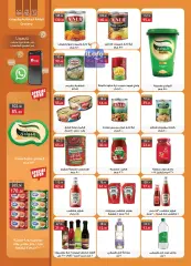 Page 16 in Price smash offers at Al Rayah Market Egypt