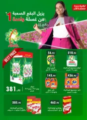 Page 18 in Frozen Offers at Al Rayah Market Egypt