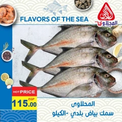 Page 7 in Fish Deals at El Mahlawy market Egypt