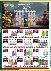 Página 29 en Ofertas de ahorro en Spinneys Egipto