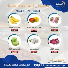 Page 3 in Vegetable and fruit offers at Al Masayel co-op Kuwait