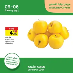 Page 2 in Weekend offers at Sharjah Cooperative UAE