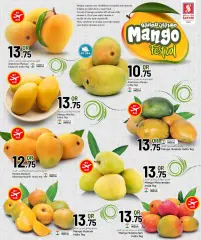 Page 2 in Mango Festival Offers at Safari Qatar