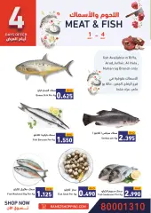 صفحة 5 ضمن صفقات سريعة في أسواق رامز البحرين