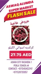 Page 54 dans productos egipcios chez Elomda Émirats arabes unis