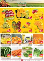 Page 3 |Central region offers on your right at Othaim Markets Saudi Arabia
