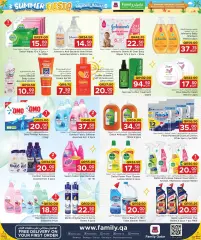 Page 13 in Summer Fiesta offers at Family Food Centre Qatar