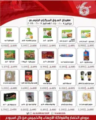 Page 5 in Big Sale at Al Surra coop Kuwait