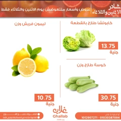 Página 17 en Ofertas de EidFresh deals en Mercados de Ghallab Egipto