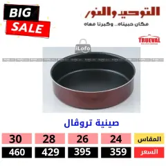 Página 17 en ofertas de verano en Al Tawheed Welnour Egipto